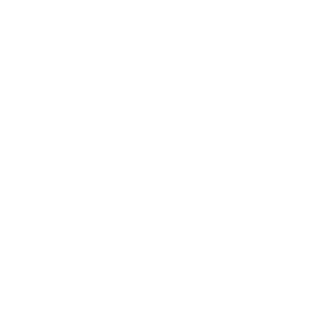 Lock Icon